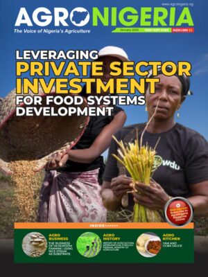 Leveraging Private Sector Investment for Food Systems Development